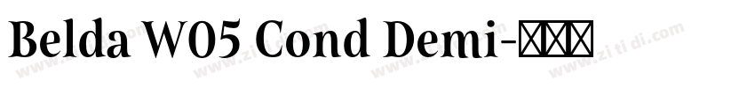 Belda W05 Cond Demi字体转换